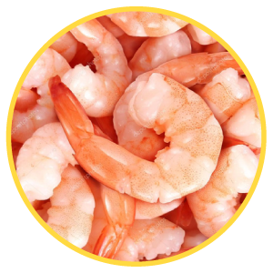 Túnel Espiral Compacto – Ice Pack