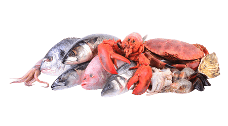 Seafood and Fish