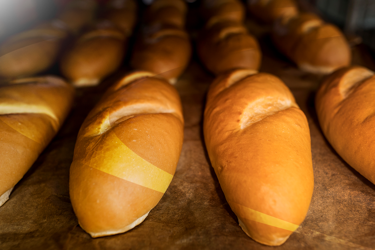 evolução da automação na panificação